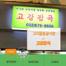 고강닭집