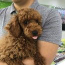 스타멍스 이미지