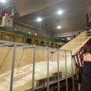 여기조아호텔 | 라스베가스 밤에 안추워서 넘조아 내스탈