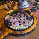 마적고기 | [대전 괴정동 맛집]마적단/대전 롯데백화점 근처 프리미엄 돼지고기 맛집 추천/방문 후기