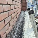 비둘기미용실 이미지