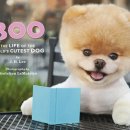 부BOO