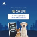 24시 코끼리동물병원 이미지