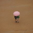 인천담방초등학교 이미지