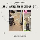 비아점 현대자동차 | 고양 스타필드 애견동반 후기! 강아지와 함께한 주말 나들이