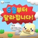 여름후기(이제시작임)
