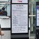 1월 일상, 다낭여행, 티엔킴, 안토이, 호이안톰도, 죽전싱싱횟집, 측백향카페, 교동라프, 앞산담백한