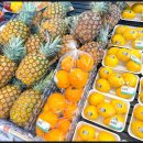 코끼리마트 이미지