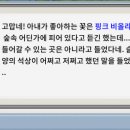 분홍바구니