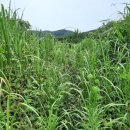 맥전포경로당 이미지