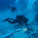 WORLD TRADING LTD 이미지