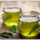 보성선운제다 이미지