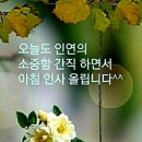 이나이되고보니 이미지