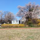 계백로(유등교-서대전네거리) 이미지