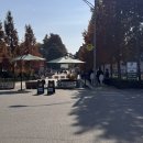 승한목장 | 24개월 아이와 가기좋은 안성팜랜드 내돈 내산 후기