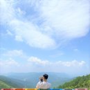 나라애견 이미지