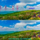 태화산 전경 이미지