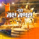 상하벌로 4거리 | 경기도 국립 과천과학관 초등 과학 체험 예약 상설전시관