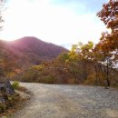 인건농장 이미지