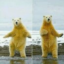 옥천소장수
