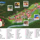 봉쥬르펜션D | [강원 가평] ① 청평 리버랜드 번지점프 체험과 쁘띠 프랑스 테마파크 나들이