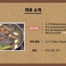 솜소밍 이미지