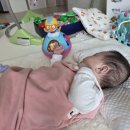 인천지방경찰청 앞 | 도담도담장난감월드 송도국제점 장난감 대여 후기(가입서류, 대여방법, 주차)