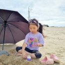 학암포 황금펜션 이미지