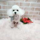 소미미용실 이미지