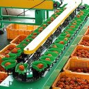 청춘농원 이미지