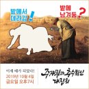 (주)재림