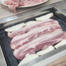 이조축산 | 지리산 흑돼지 맛의 비밀, 지방이 많아도 맛있는 이유