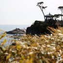 관광특구로 이미지