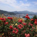 완도타워 이미지