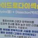 굿모닝마취통증의학과의원 이미지