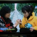 6시내고향