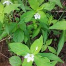 비수구미민박 이미지