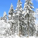 감성문화제_명작 영상시 산책_겨울 나목이라면_초연 여계화_낭송 정설연_편집 윤기영 이미지