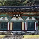 신광사 - 1408 | 신광사