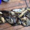 힐링낚시터 이미지