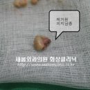새봄외과의원 이미지