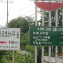 춘양시계