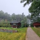 김해김씨 열녀문 이미지