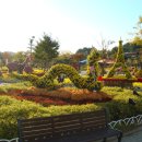 오-월드 이미지