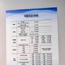 금화로 | 광주프리다이빙 자격증 도전, 현프리다이빙 레벨1 솔직 후기