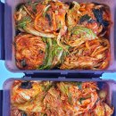 (12/13) 배추김치 담그기 | 절임배추 80kg 김장김치 레시피 괴산배추로 겨울 김장김치 담그기