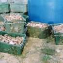 덕송농장 이미지