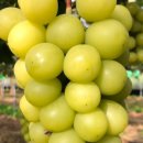 한신농장 이미지