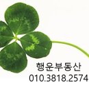 용성면 미산리 187-5 | 경산 한옥 매매 경산촌집 매매 462