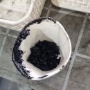 양산 반달곰 카센타 이미지